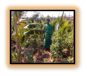 Gangamma earning her livelihood